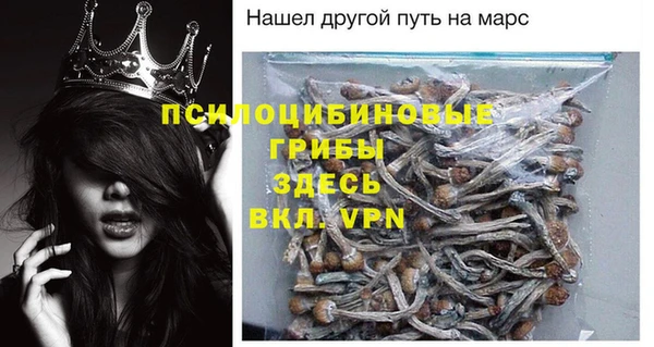 твердый Алексин