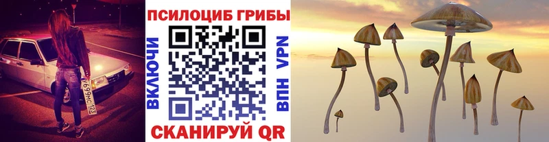 Псилоцибиновые грибы мицелий  мега ссылки  Гусь-Хрустальный 